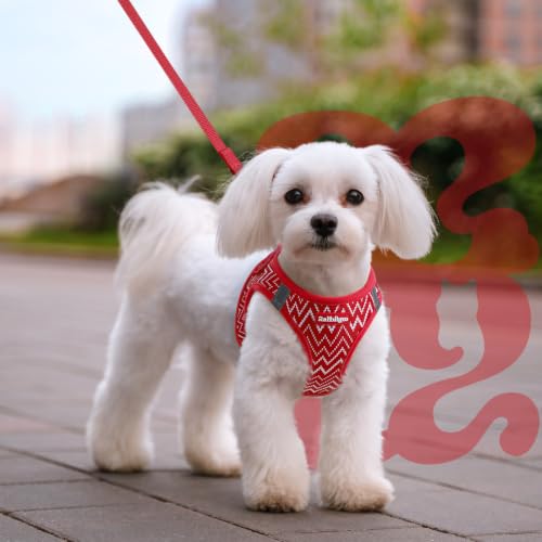 Dog Harness Small Sized and Leash Set (Red Wave / M (Chest: 16.0"-18.5"))