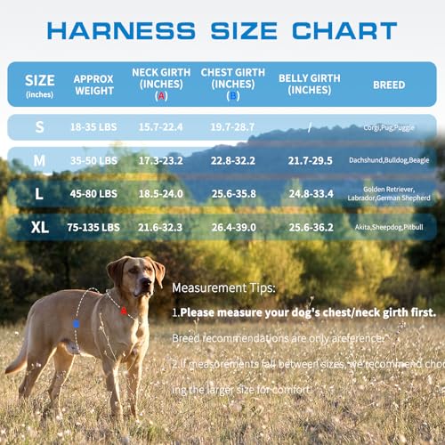 Dog Harness Tactical No Pull for Small Sized Dog with Handle (Blue / S(Neck:16-22",Chest:20-28"),18-35 lbs)