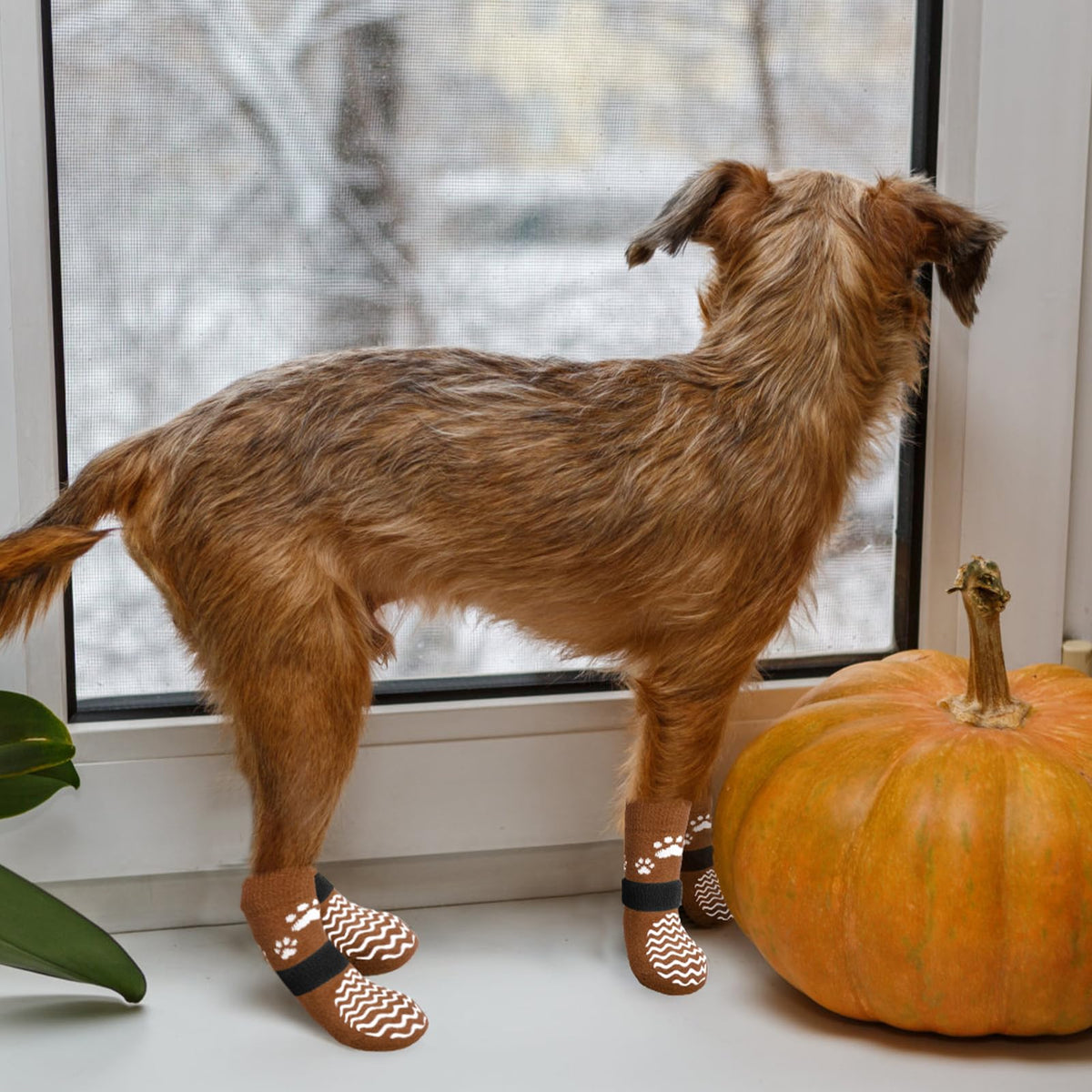 Anti Slip Dog Socks to Prevent Licking Paws for Hot Pavement (Thick Brown / Large)