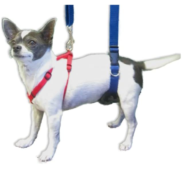 Dog Back Support IVDD Sling Harness (X-Small)