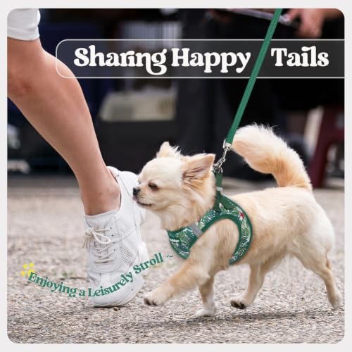 Dog Harness Small Sized and Leash Set (Rainforest Green / Xs (chest: 13.3 - 15.5"))