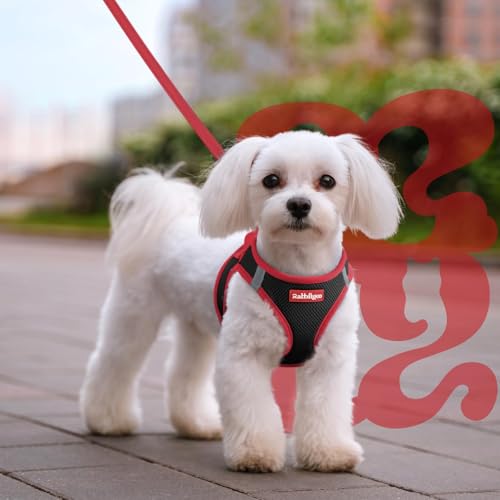 Dog Harness Small Sized and Leash Set (Black & Red / M (Chest: 16.0"-18.5"))