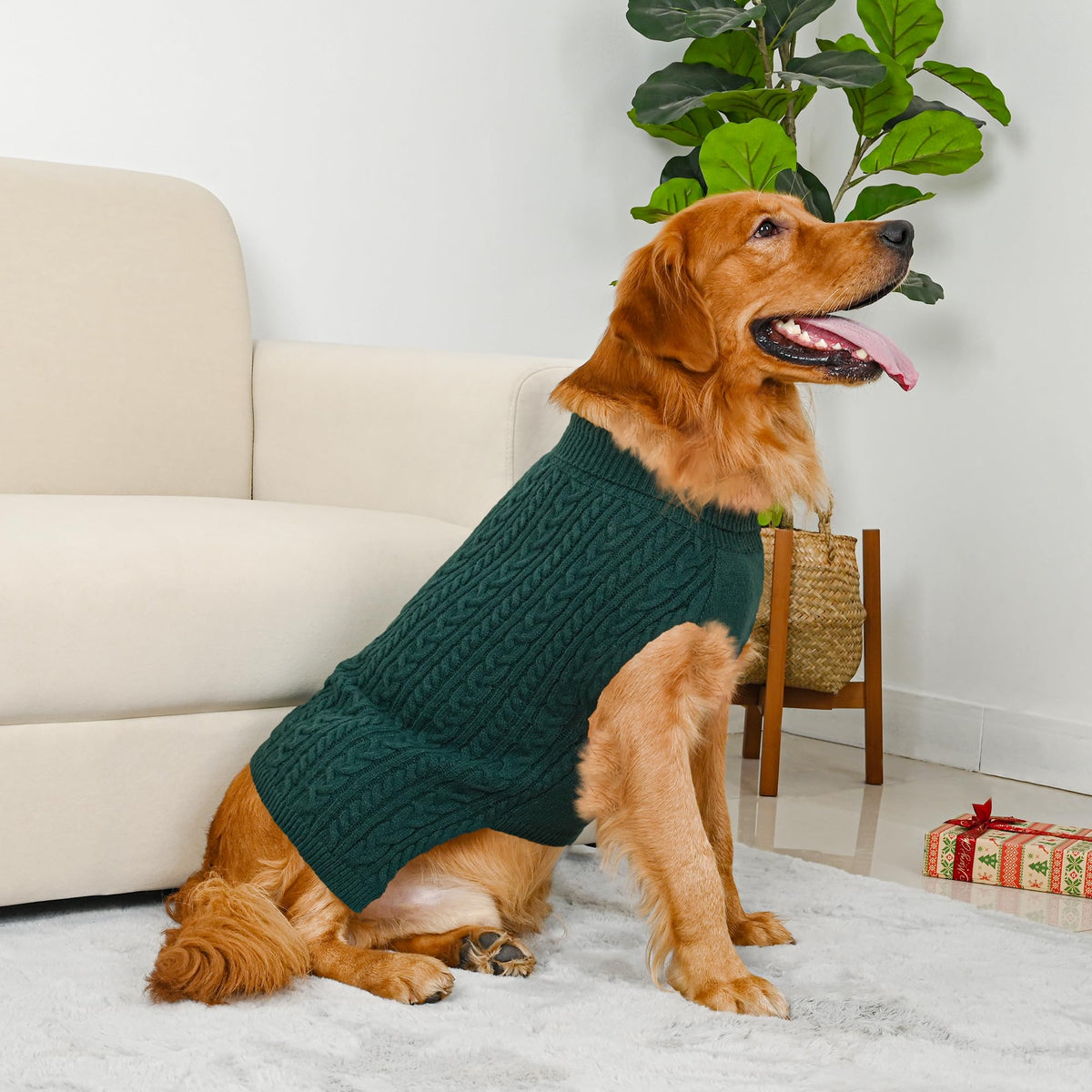 Dog Sweater 2 Pack for Large Dogs (Green & Brown / XXX-Large)
