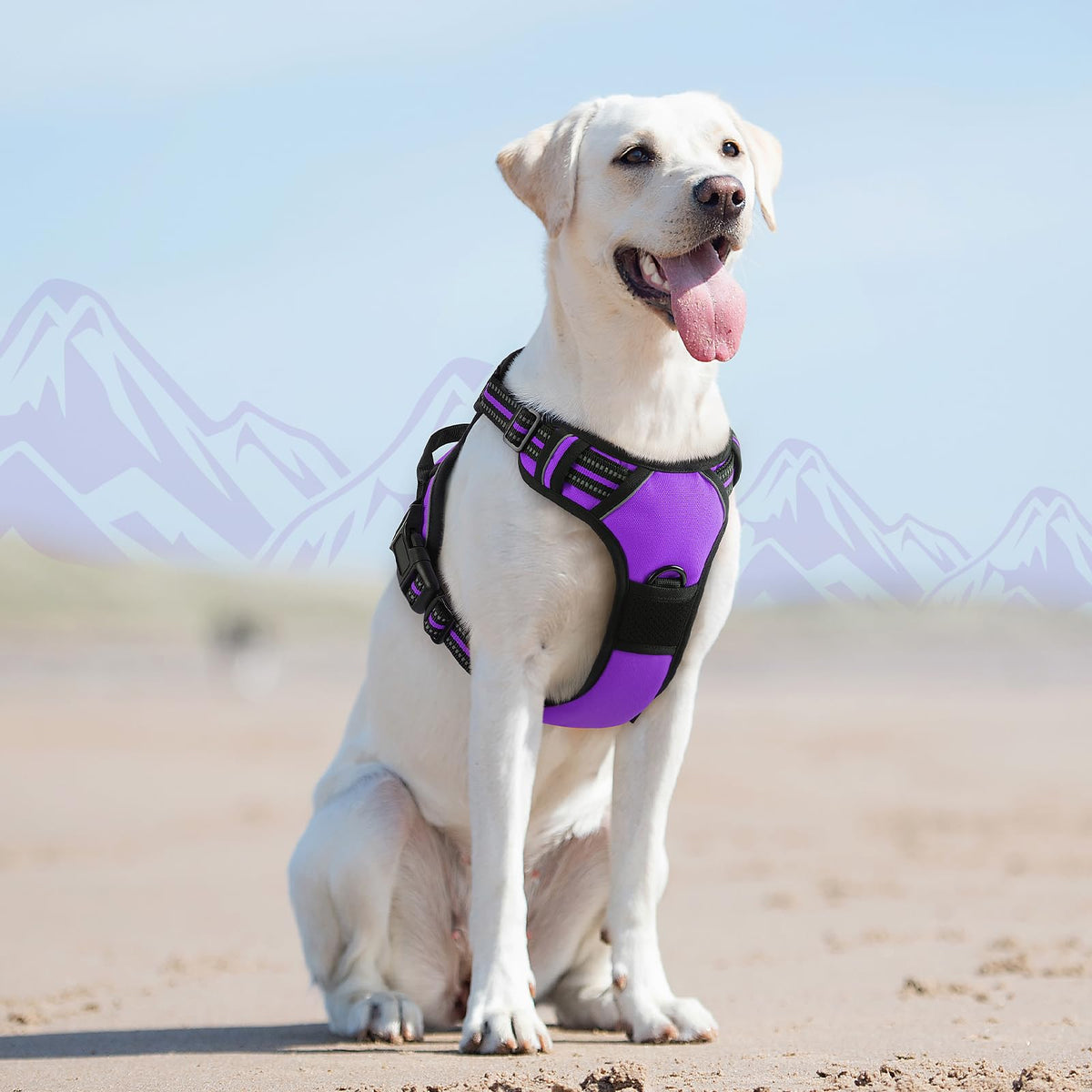 Dog Harness for Large Dogs (Large / Purple)