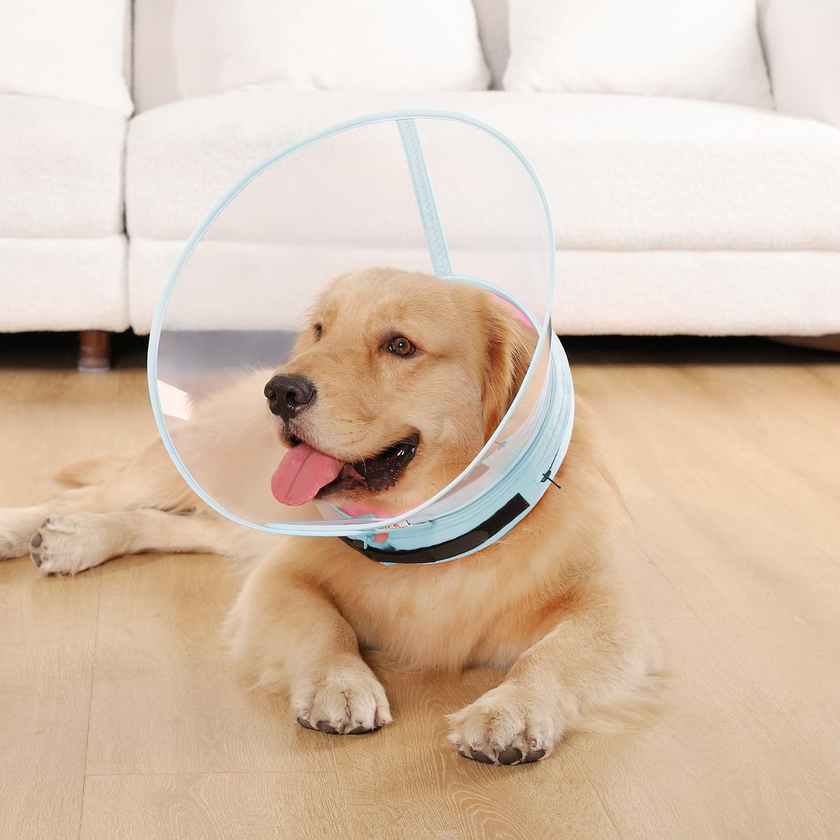 Sponge Core Dog Cone (Pink / Size 3(Neck: 10.5"- 13.0"))