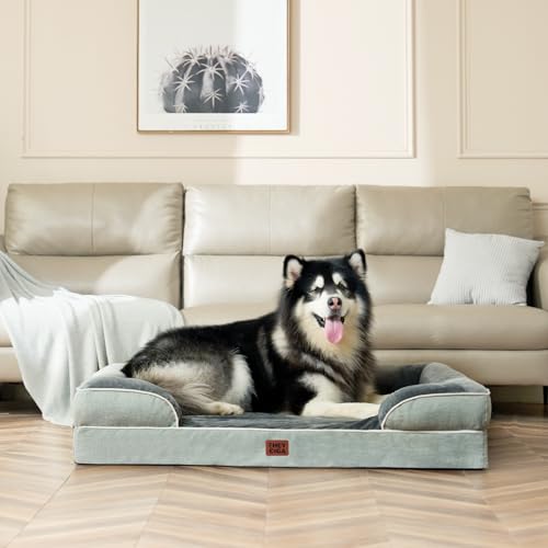 Orthopedic XXL Dog Bed (Greyish Green / 46.0"l X 35.0"w X 7.5"th)