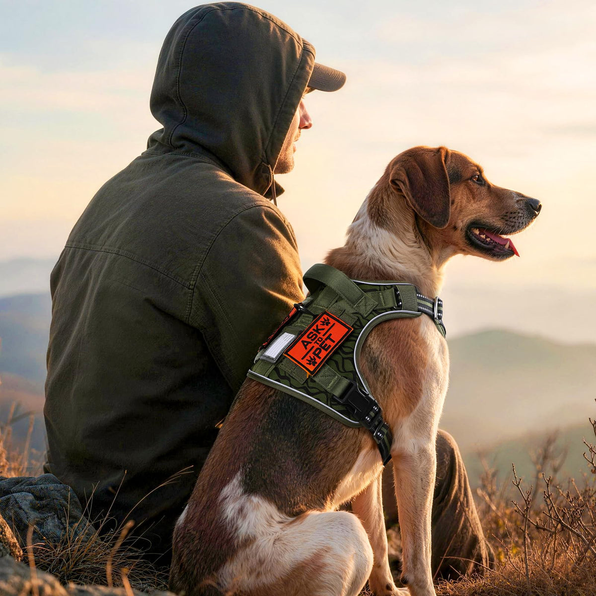 Tactical Dog Harness for Large (Green Desert / Small)
