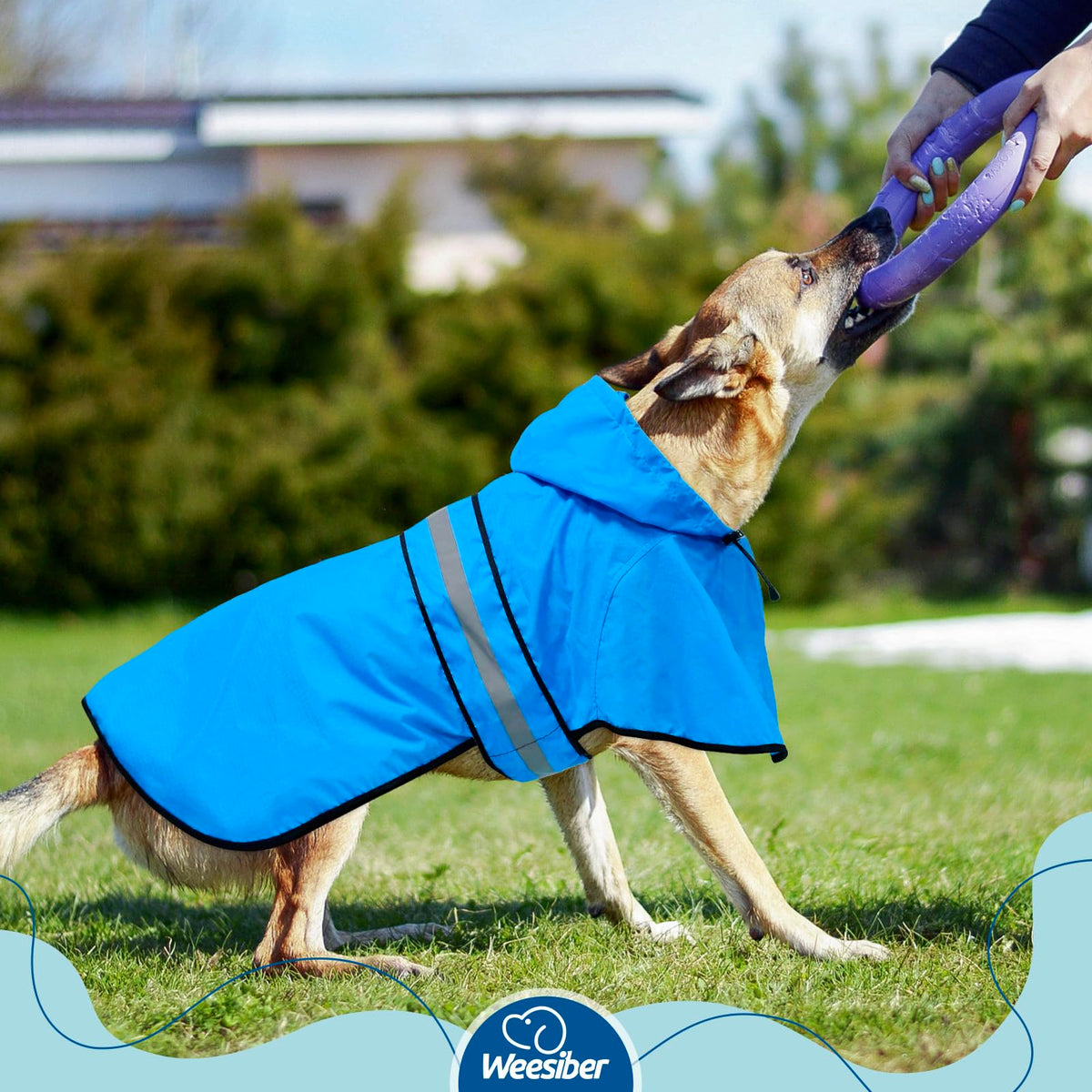 Dog Raincoat Adjustable Dog Rain Jacket Hooded Poncho Slicker (Large / Blue)