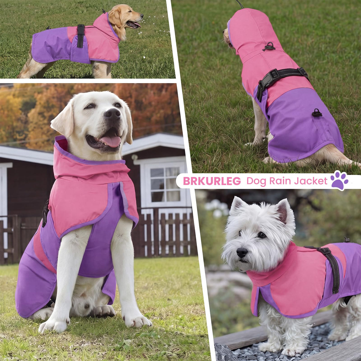 Dog Raincoat Waterproof Rain Jacket with Hood (L(Back Length16.9") / Pink Purple)