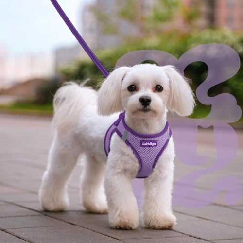 Dog Harness Small Sized and Leash Set (Light Purple & Purple / M (Chest: 16.0"-18.5"))