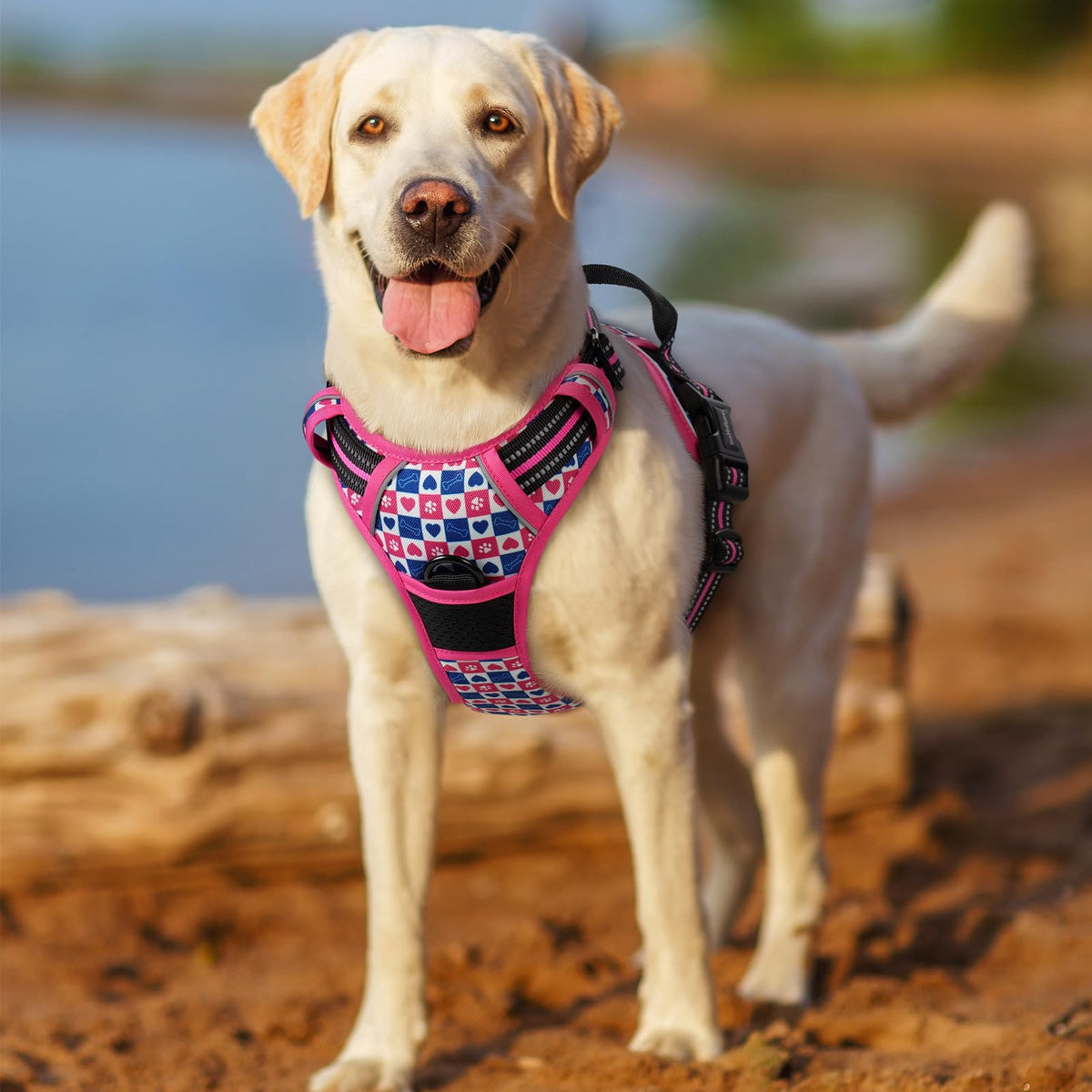 Dog Harness No Pull for Large Dogs with 2 Leash Clips (X-Large / Hot Pink Grid)