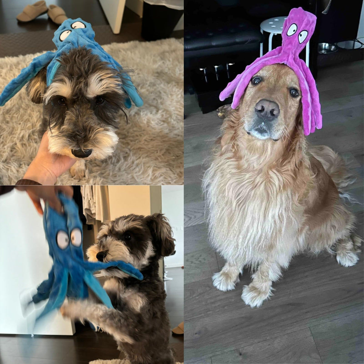 Squeaky Dog Toys No Stuffing Octopus Crinkle for Large Medium Small Dog (Octopus Yellow & Green)