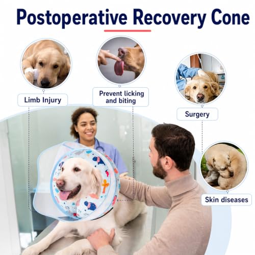 Inflatable Dog Cone Collar for Large Medium Small Dogs (Dinosaur / Medium)