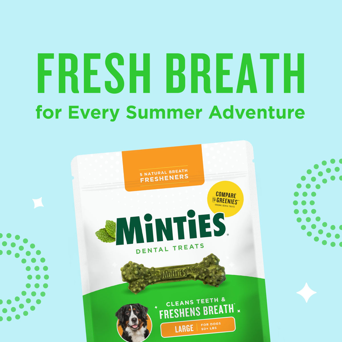 Mint Dental Chews for Dogs (Large Dogs - 16oz)
