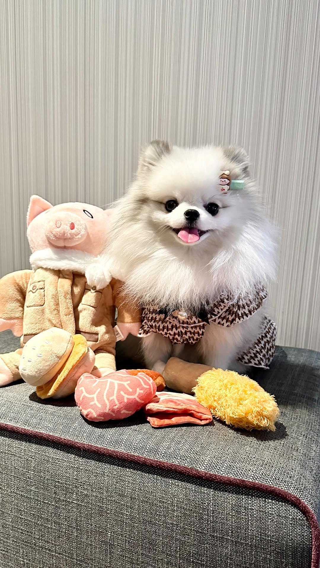 Stuffed Pig Dog Toys (Pilot Pig)