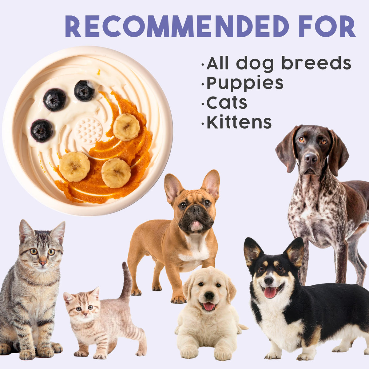 Lick Dish Silicone Lick Mat + Slow Feeder for Cats & Small Dogs (Periwinkle / Small)