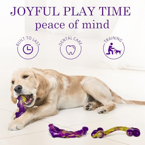 Tough Dog Toys for Aggressive Chewers 3 Pack (Purple-3-Pack)