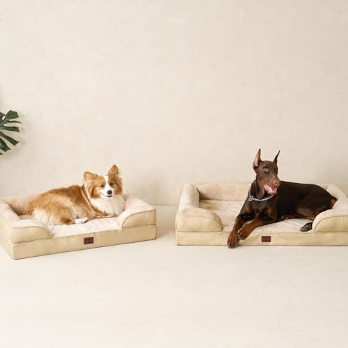 Orthopedic XXL Dog Bed (Graige / 46.0"l X 35.0"w X 7.5"th)