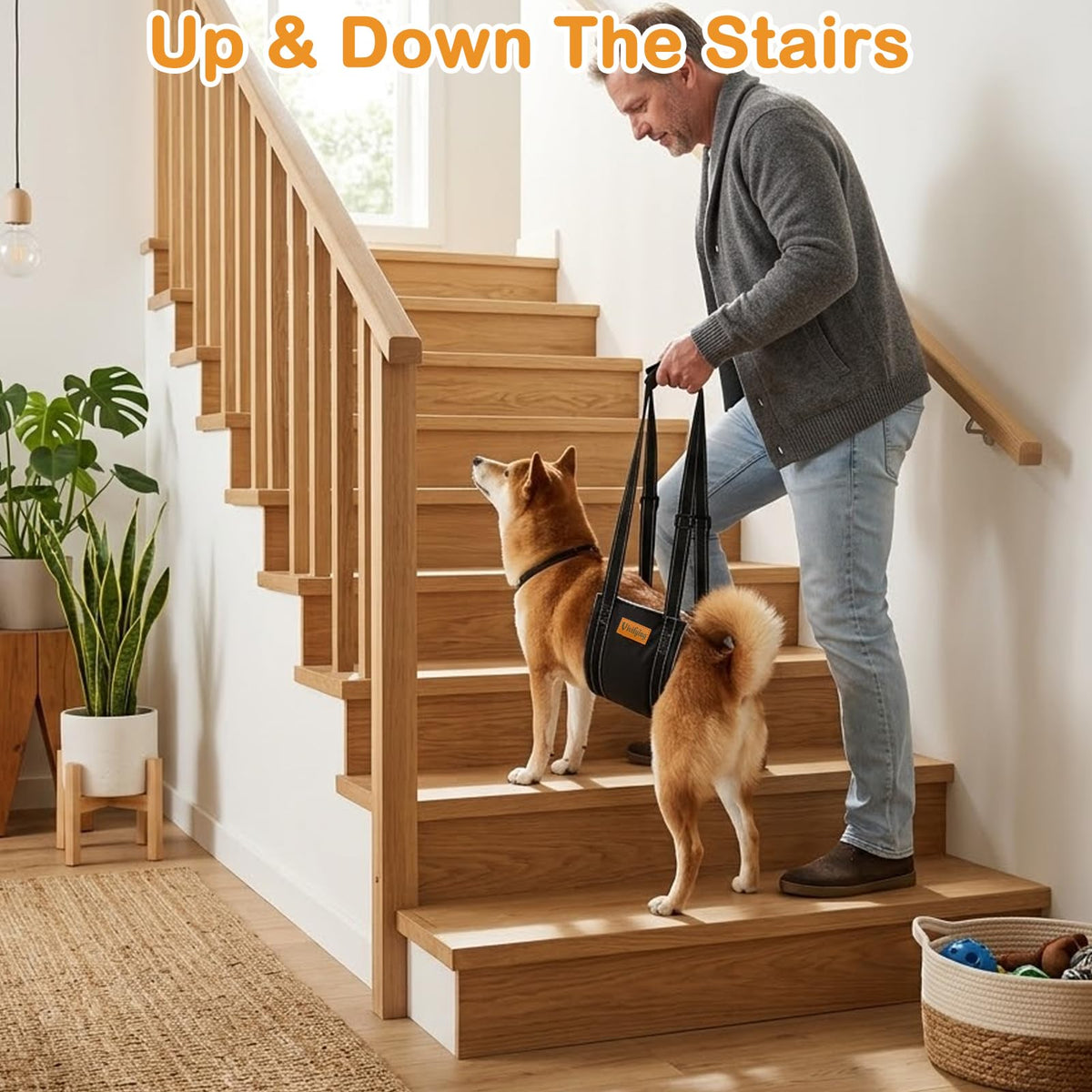 Dog Lift Harness (M)