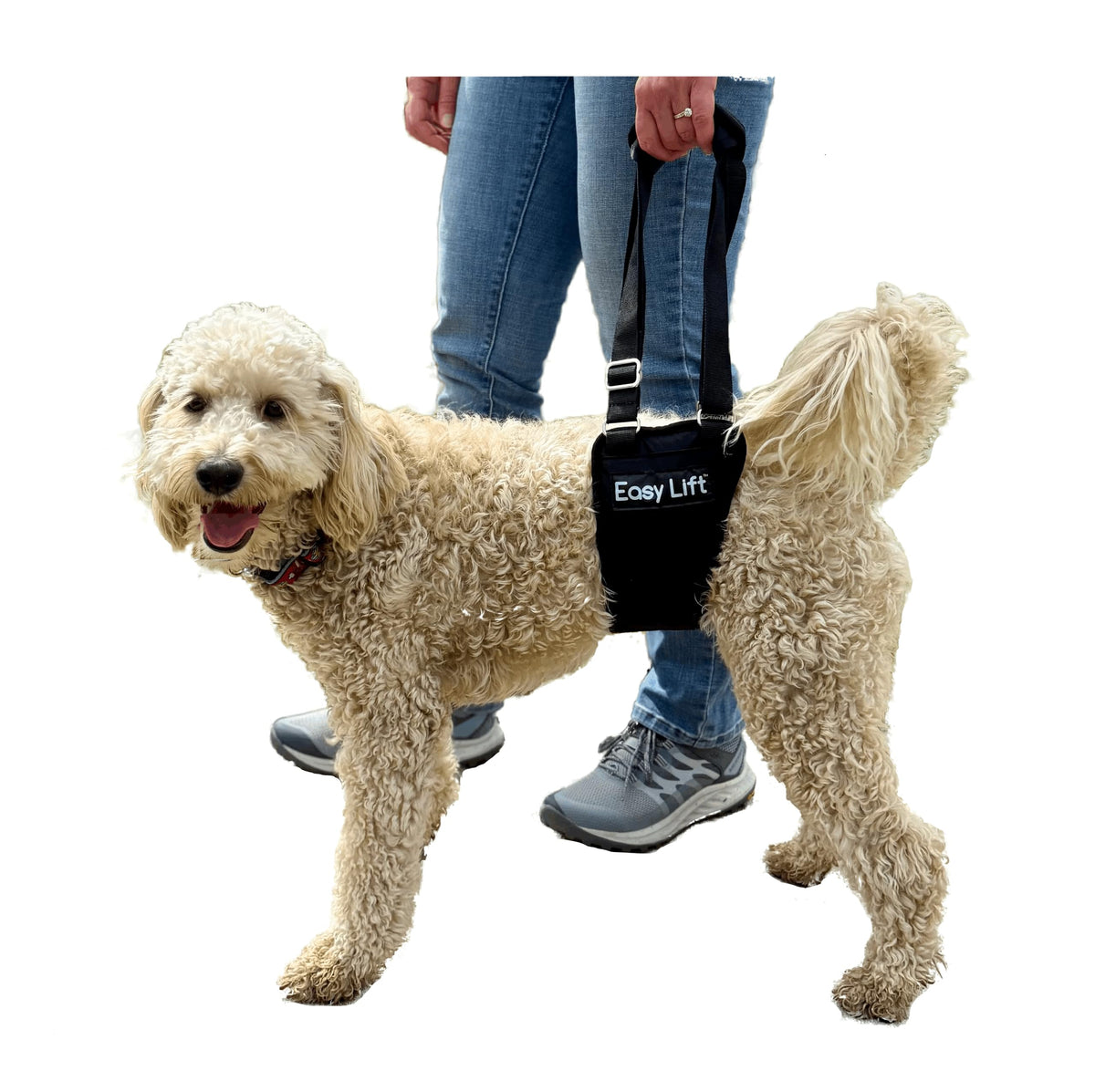Easy Lift® Dog Hind Leg Support Slings (Medium)