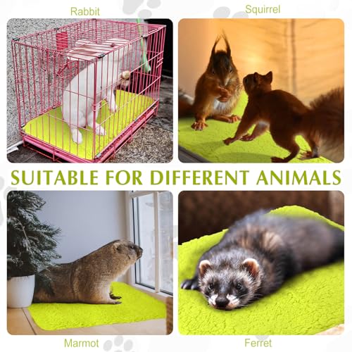 4 Pack Self Warming Cat Mat for Pets (16 x 20 Inch / Green)