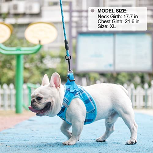 Large Dog Harness and Leash Set (Large(Chest Girth 18" - 21") / Blue)