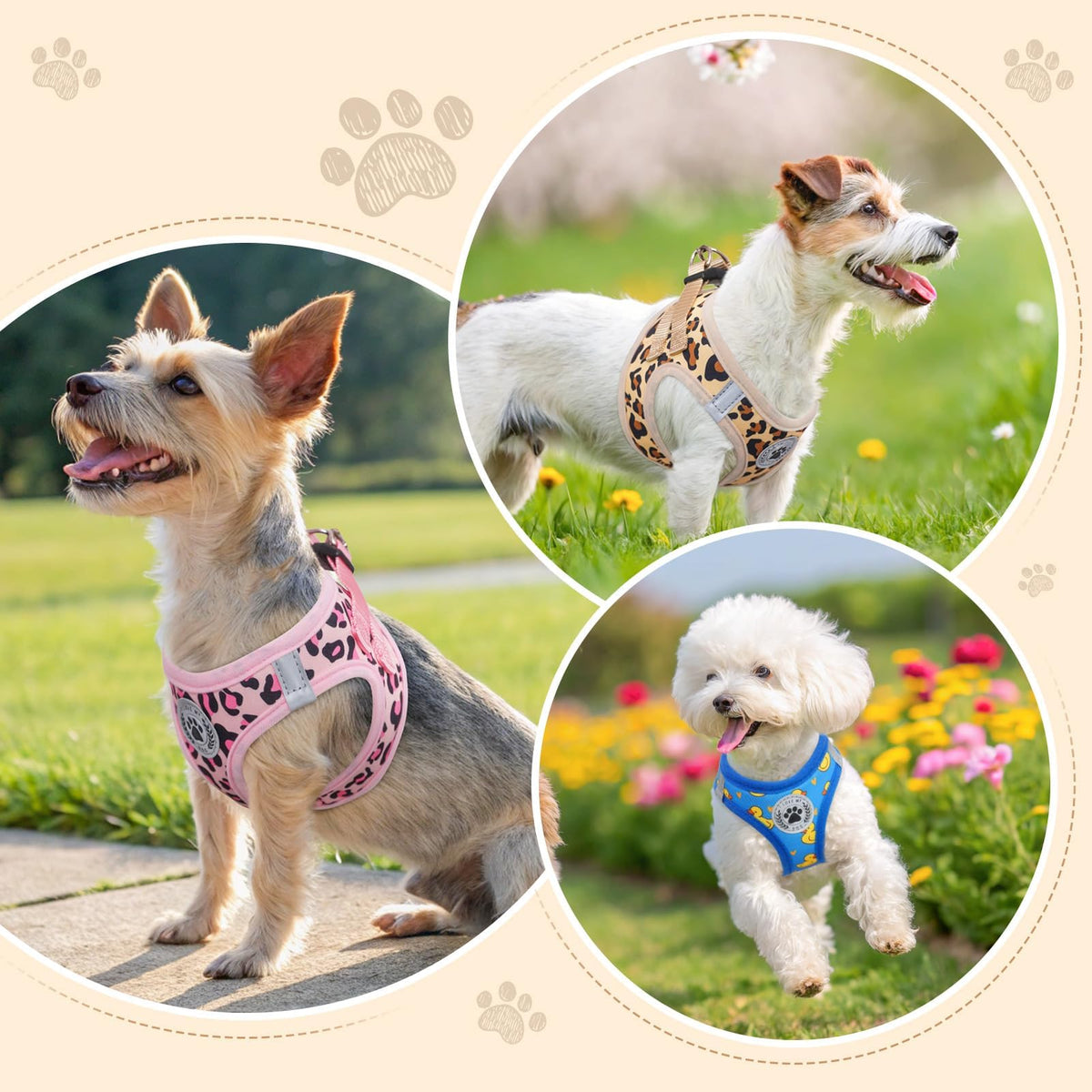 Dog Harness Medium Sized and Leash Set (Medium(Chest Girth 16" - 18") / Duck Blue)