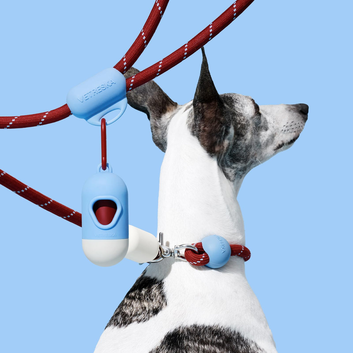 Hands Free Dog Leash (Mist&Merlot Red)