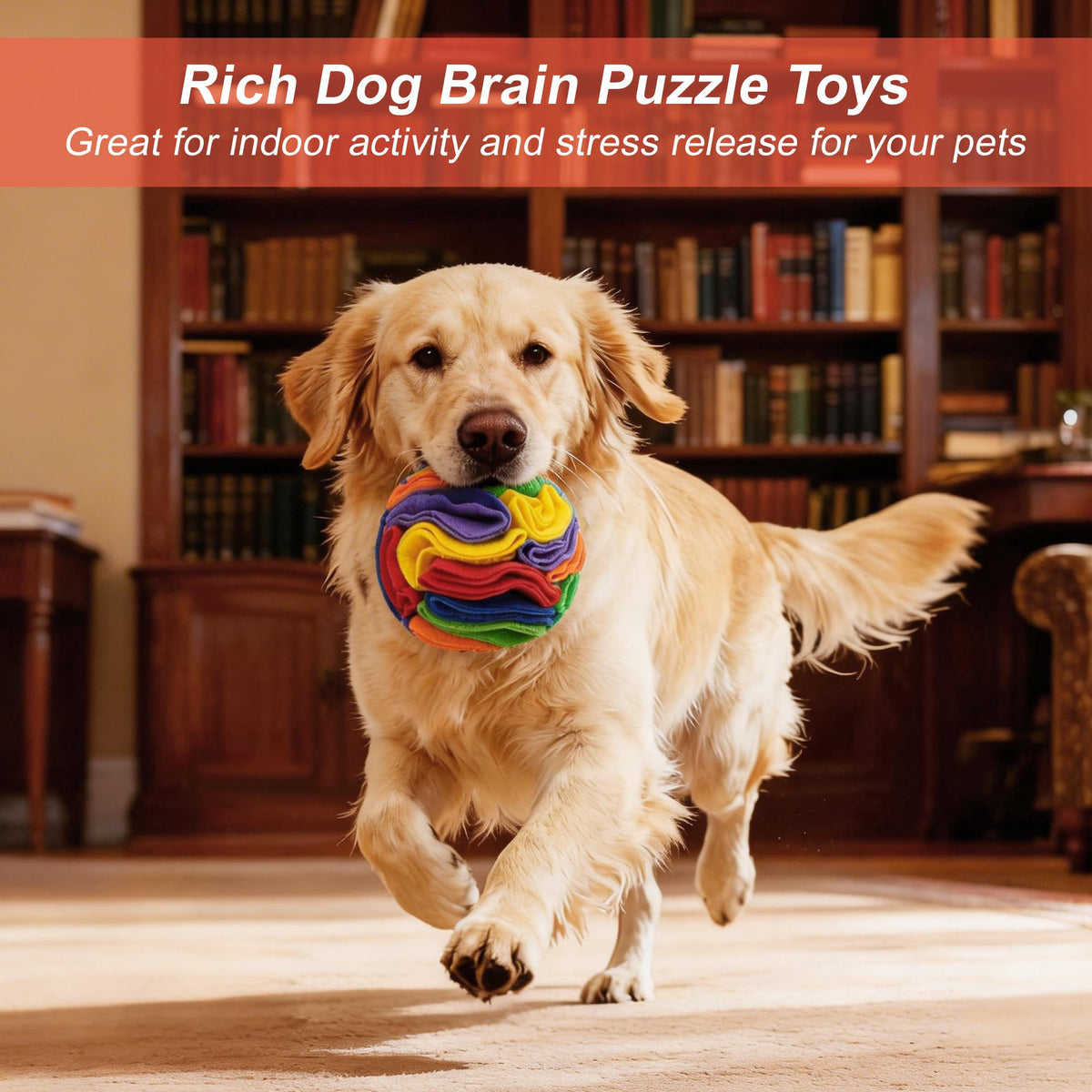 Snuffle Ball for Dogs (Rainbow / Small)
