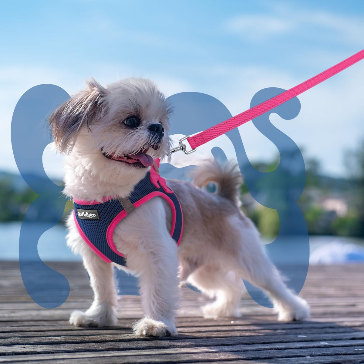 Dog Harness Small Sized and Leash Set (Navy Blue & Rose Red / S (Chest: 15.1"-16.5"))