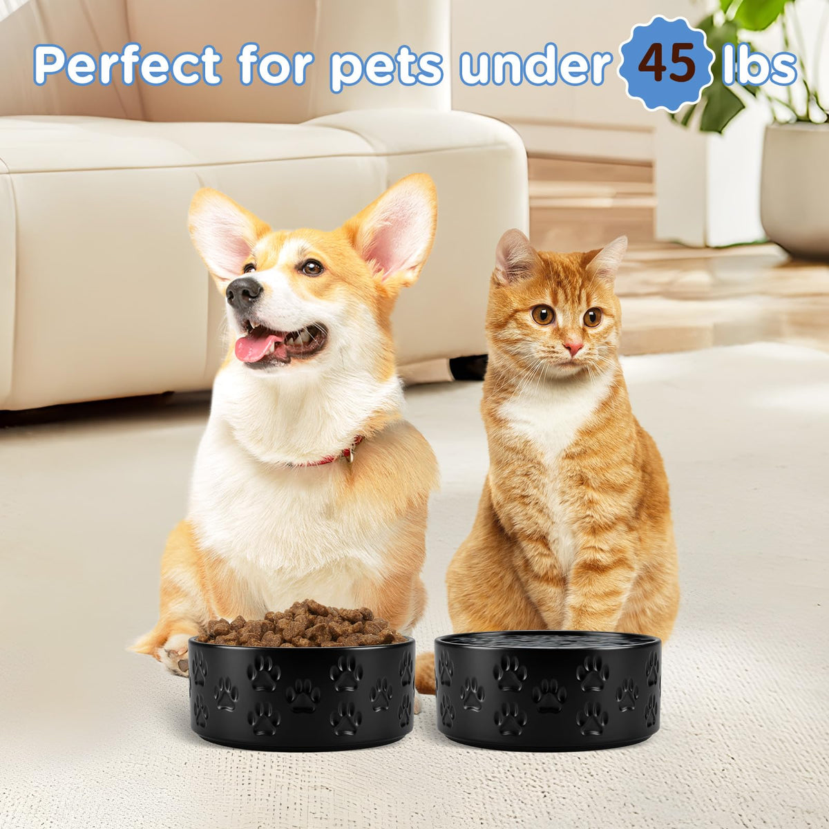 Ceramic Dog and Cat Bowls 2 Pack (6.1 in - 3.6 cups / Paw Black - Only Bowls*2)
