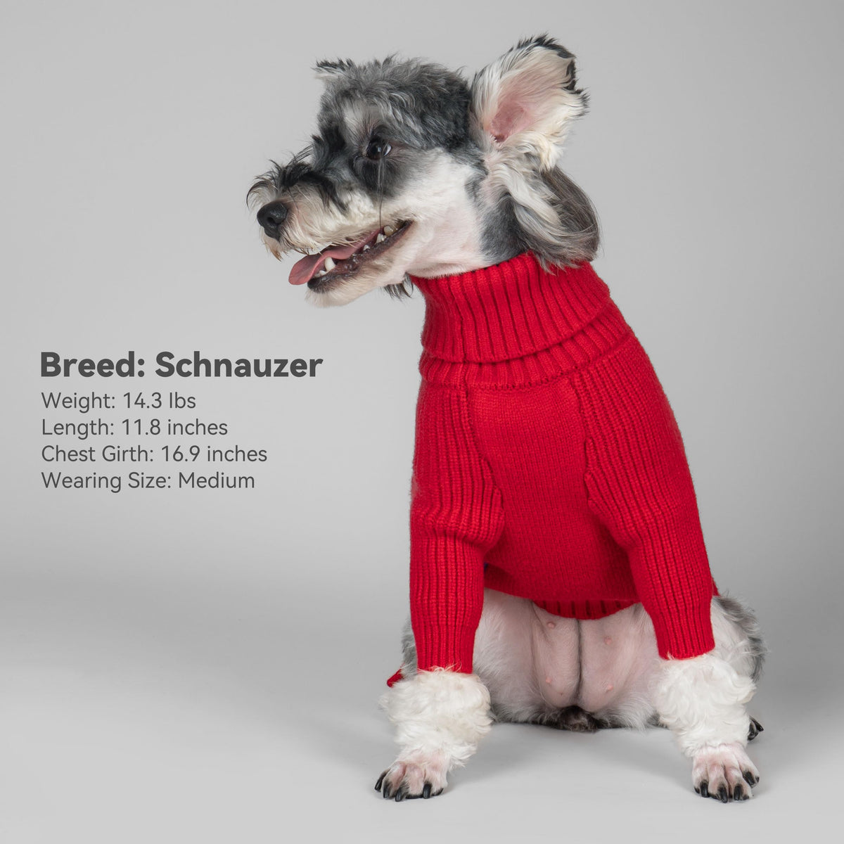 Dog Sweater Long Sleeve Warm Sweaters for Small Dogs Boy Girl Cats (Red / Medium)