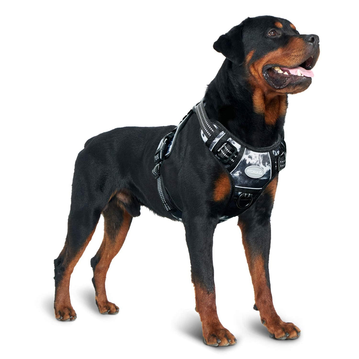 Dog Harness for Small Medium Dogs (Black Ink / S(Neck:14-21",Chest:20-31"),18-35 lbs)