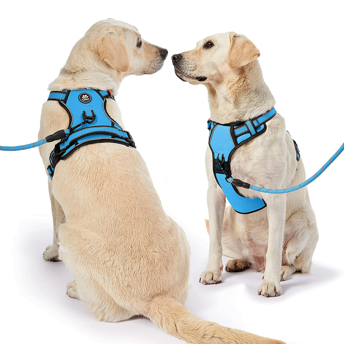 Dog Harness for Small Sized Dog (Blue / X-Small)