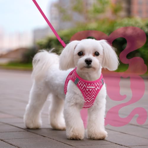 Dog Harness Small Sized and Leash Set (Rose Red Wave / M (Chest: 16.0"-18.5"))
