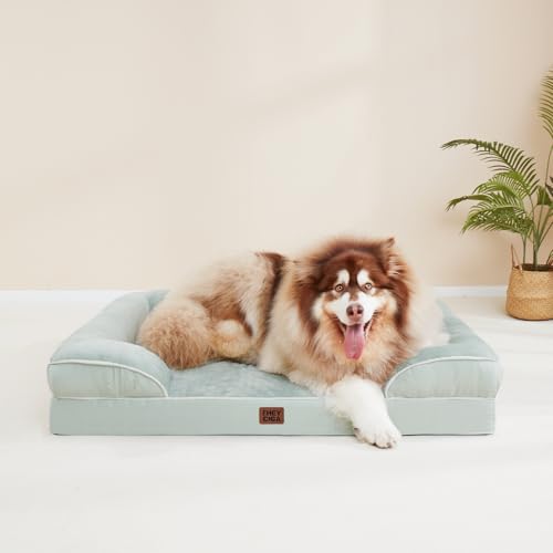 Orthopedic XXL Dog Bed (Sage Green / 46.0"l X 35.0"w X 7.5"th)