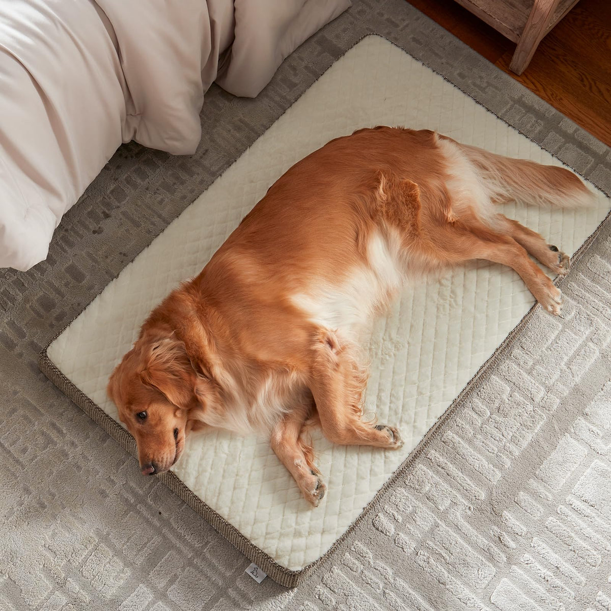 Orthopedic Medium Dog Bed (M(29"x18") / Beige)