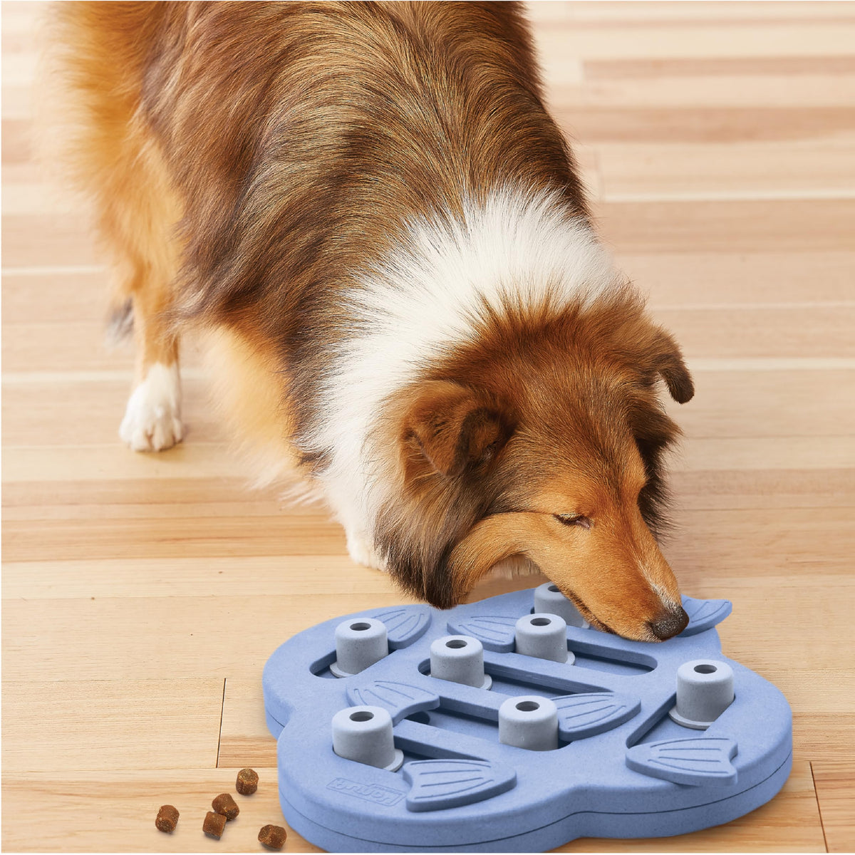 Nina Ottosson Dog Hide N' Slide Dog Toy Treat Puzzle