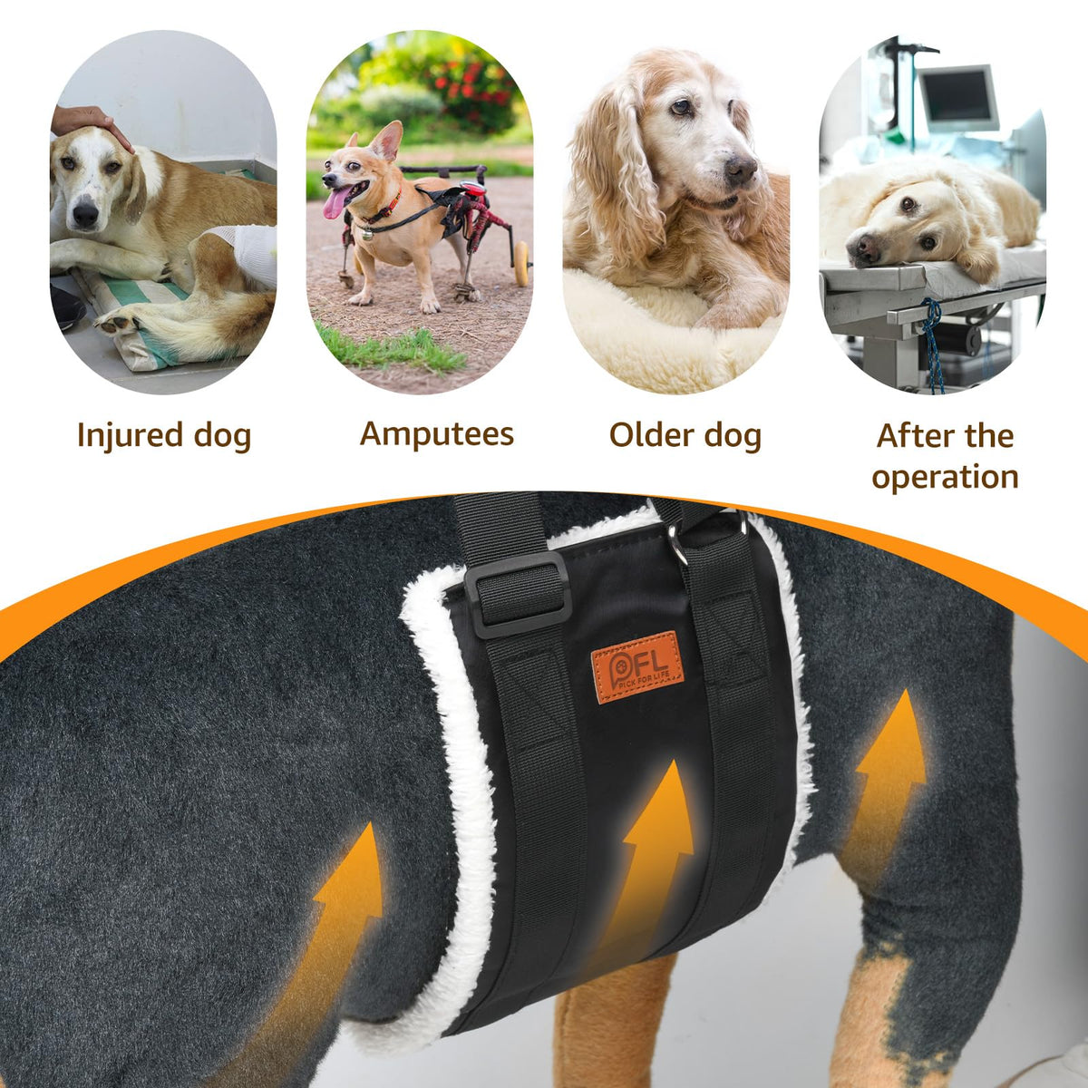 Adjustable Dog Sling for Large Dogs Hind Leg Support Weak Legs Mobility Aid (Black / Large)