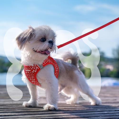 Dog Harness Small Sized and Leash Set (Red Wave / XS (Chest: 13.3"-15.5"))