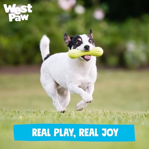 Zogoflex Hurley Dog Bone Chew Toy (X-Small / Aqua)