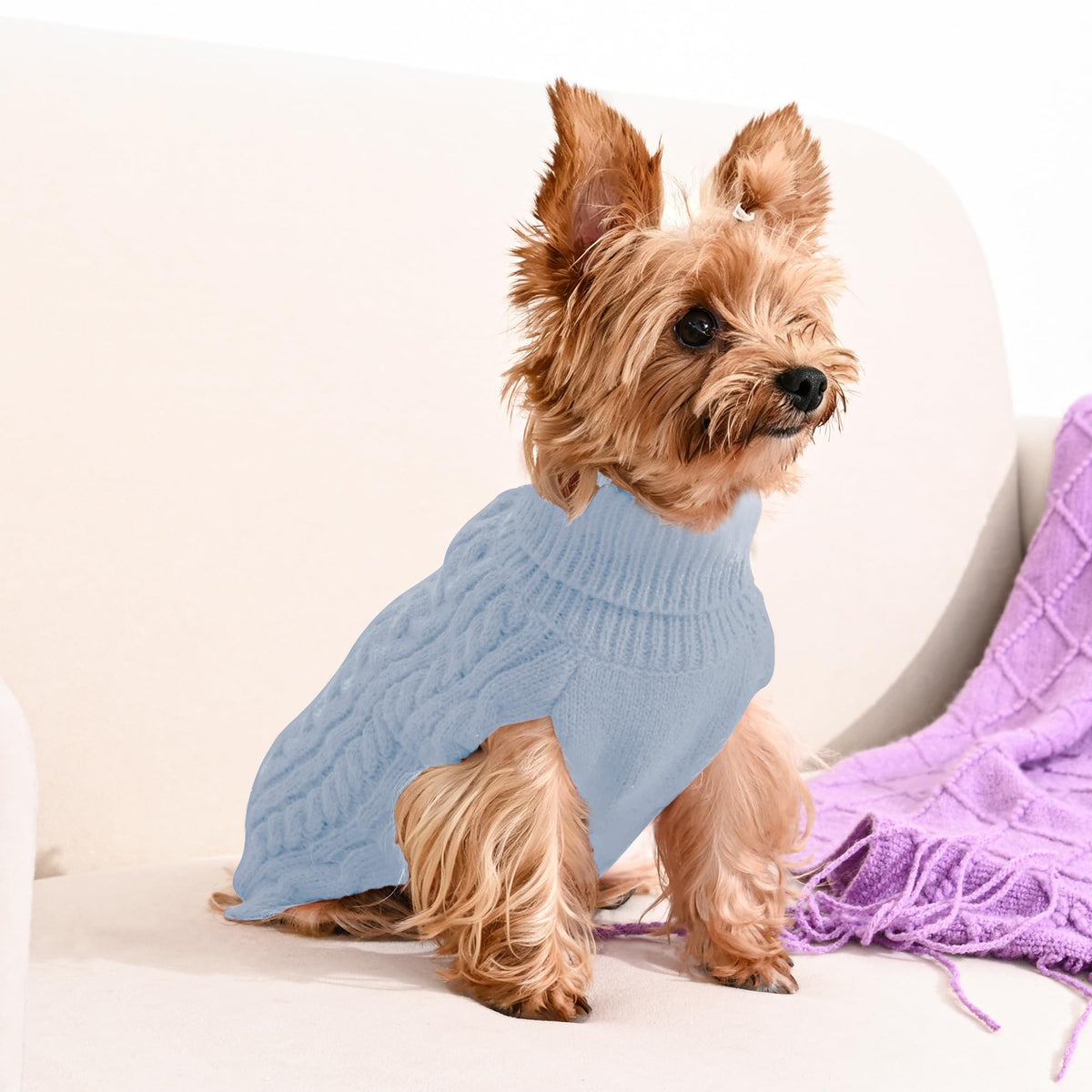 Dog Sweater 2 Pack for Small Dogs (Blue & Green / X-Small)
