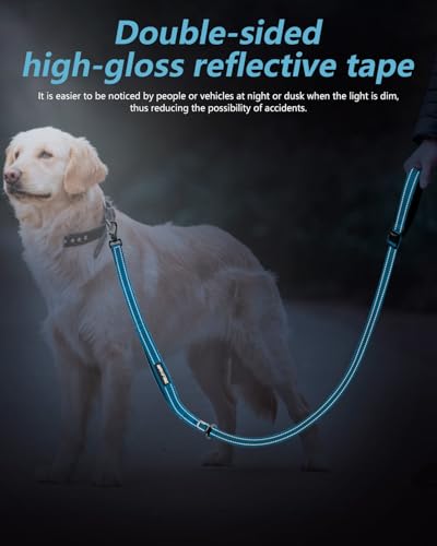 Hands Free Dog Leash with Seatbelt Set (Blue / 63-95‘’)