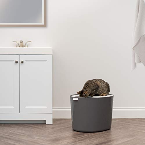 Top Entry Cat Litter Box (Top Entry / White/Gray)