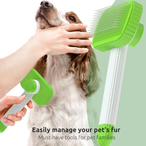 Cat brush Cat Brush for Long or Short Haired Cats (Green)