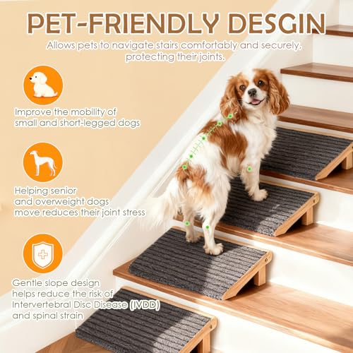 Foldable Dog Ramp for Stairs (Foldable / 2 PACK-FLD 13.8"Lx10.2"Wx4.3"H)