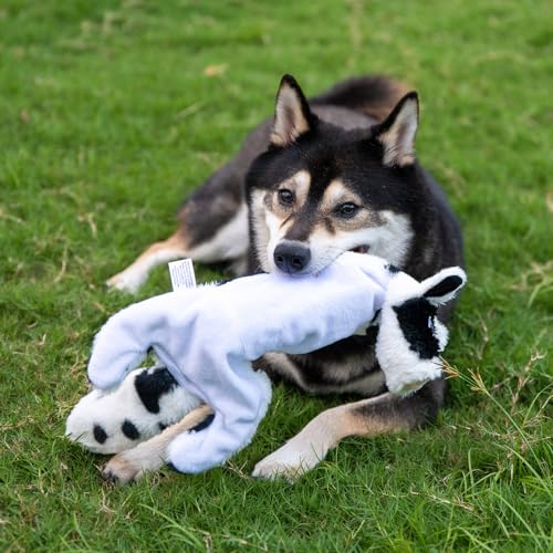 2-in-1 Stuffless Squeaky Dog Toy - zSheep, Cow, Large (Multicolor/Sheep & Cow / Large)