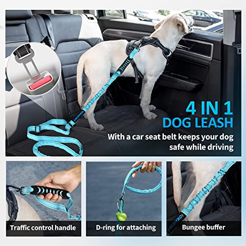 Multifunctional Dog Leash (Light Blue)