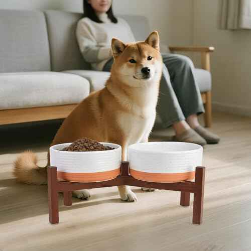 Ceramic Elevated Dog Bowl Set with Acacia Wood Stand for Food and Water for Medium Dog (42.27 Oz / White and Reddish Brown)