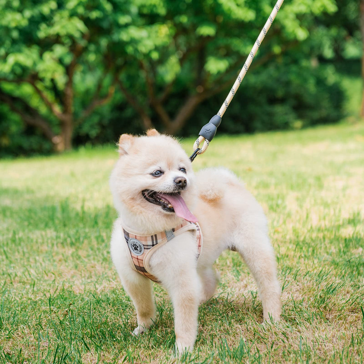 Small Dog Harness and Leash Set (XSmall(Chest Girth 13" - 14.5") / Beige)